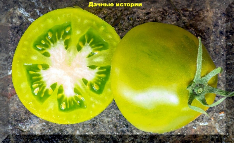 Совсем зеленые, но абсолютно созревшие. Знакомимся с 16 сортами зеленоплодных томатов