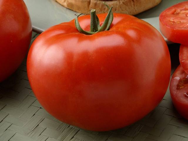 Голландские сорта томатов для теплиц