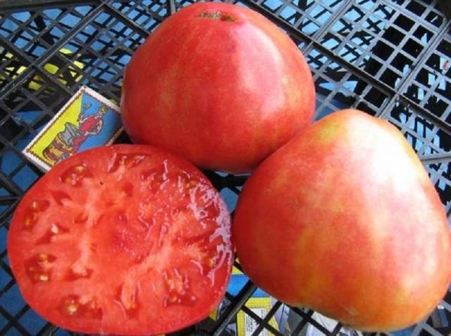 Сорта томатов сорта Сибирский с фото и описанием