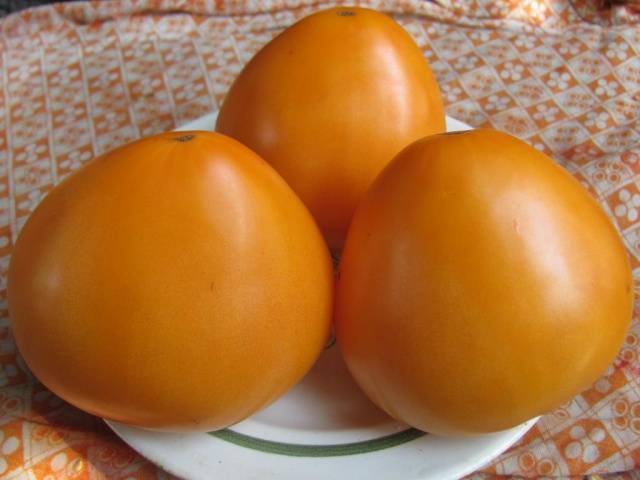 Сорта томатов сорта Сибирский с фото и описанием
