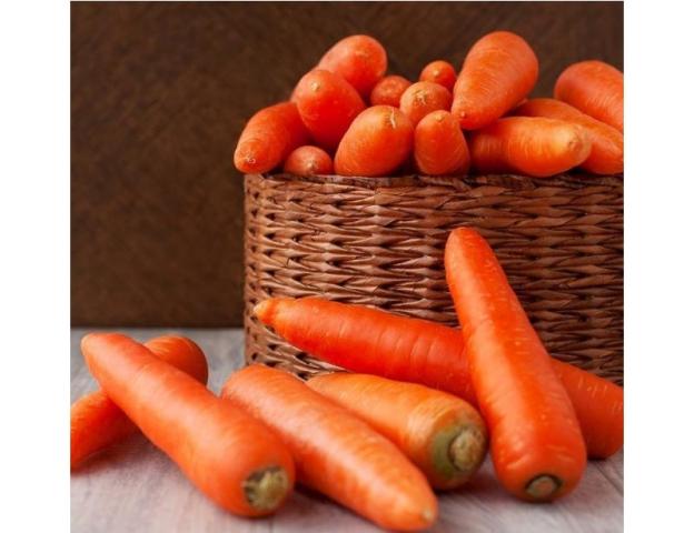 Лучшие сорта моркови на 2021 год: самые урожайные, вкусные, сочные, сладкие