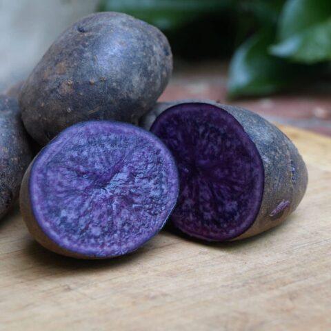 Фиолетовый картофель: описание сортов, характеристики, фото, отзывы, вкус