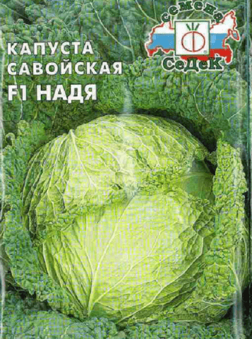 Лучшие сорта савойской капусты: для средней полосы России, Урала, Сибири