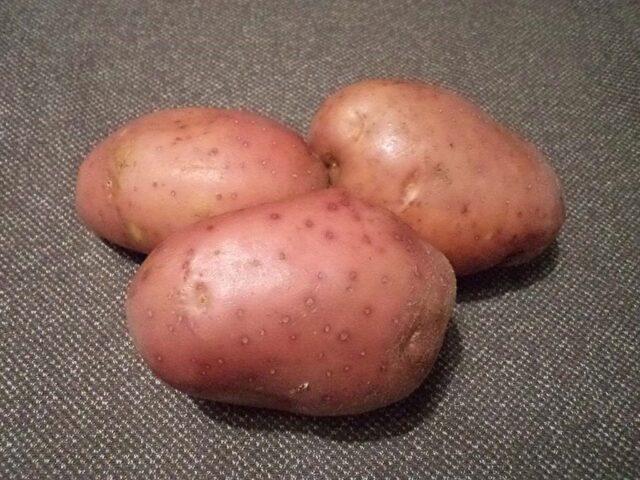 Какие сорта картофеля самые рассыпчатые и вкусные