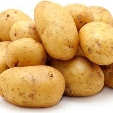 Рак картофеля: фото, как выглядит, чем опасен для человека