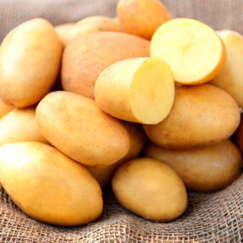 Сорта картофеля с желтой мякотью