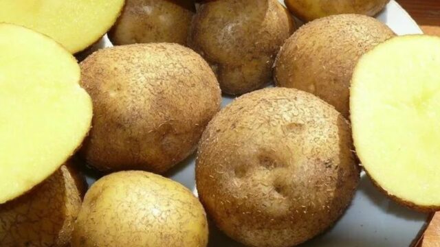 Сорта картофеля с желтой мякотью