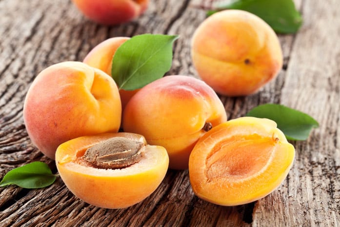 Выращивание абрикоса из косточки и финика