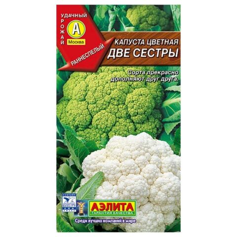 Лучшие сорта цветной капусты для Сибири