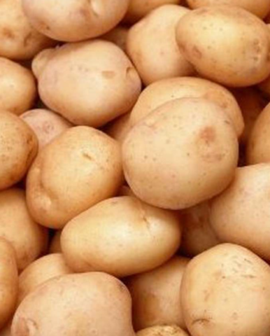 Лучшие сорта картофеля для Черноземья с фото