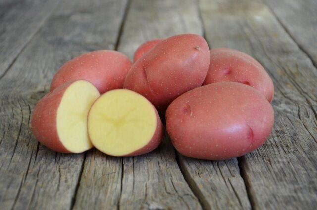 Лучшие сорта картофеля для Южного и Среднего Урала: отзывы, фото