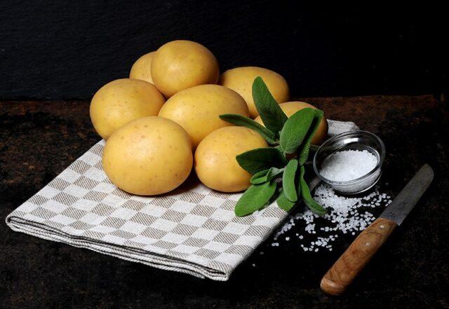 Сорт картофеля Мадейра: характеристика, фото, отзывы
