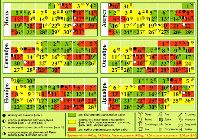 Календарь посадки огурцов в теплице на май 2022 года в разных регионах и по лунному календарю