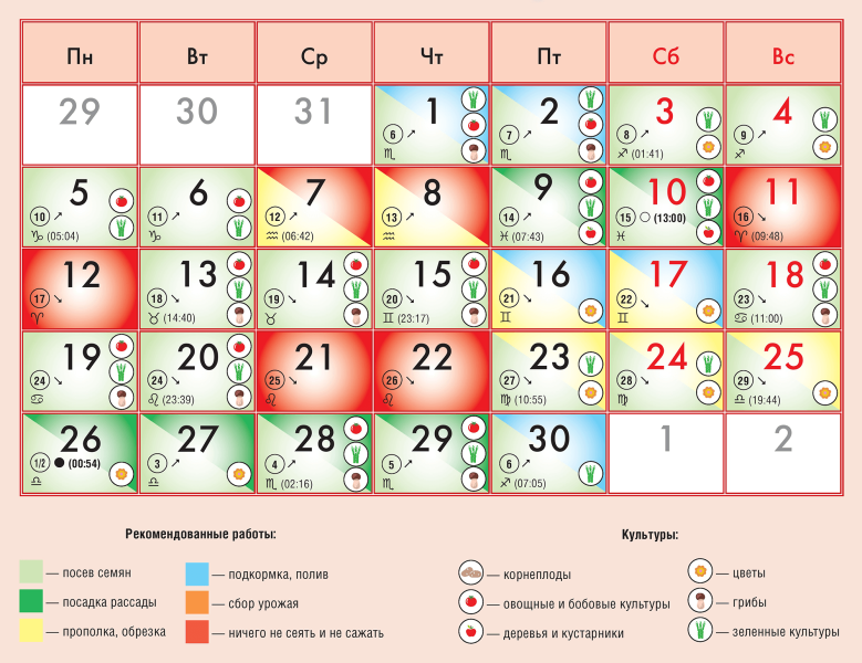 Лунный календарь с комнатными растениями и цветами на сентябрь 2022 года