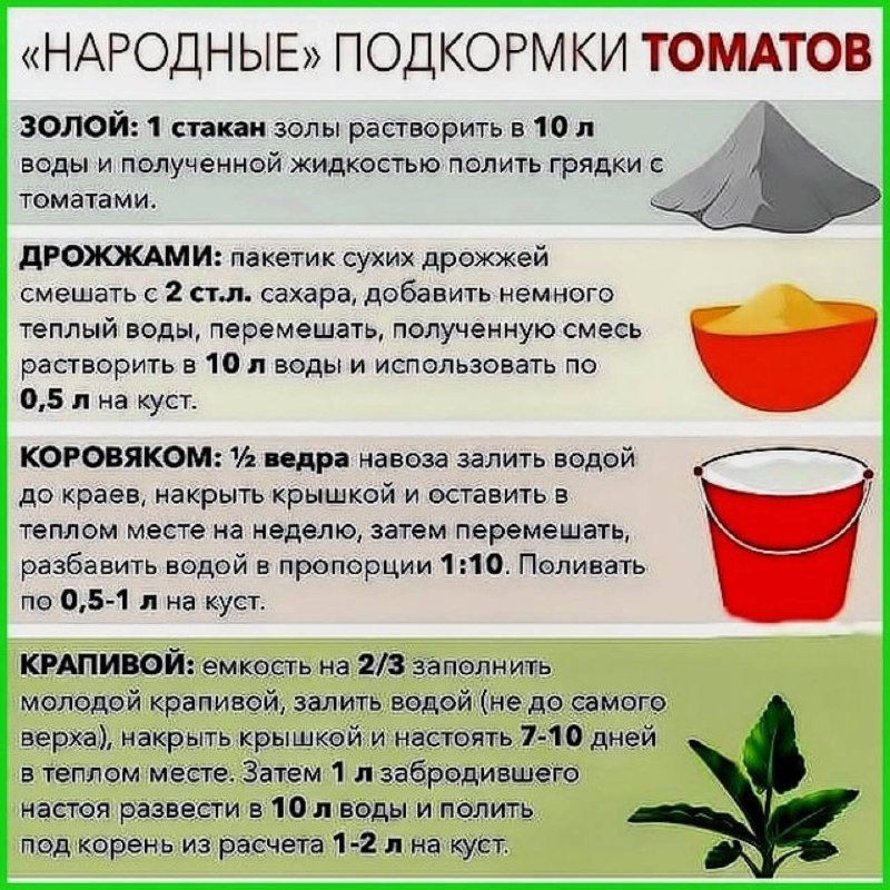 Народные средства подкормки помидоров. Натуральные подкормки для томатов.