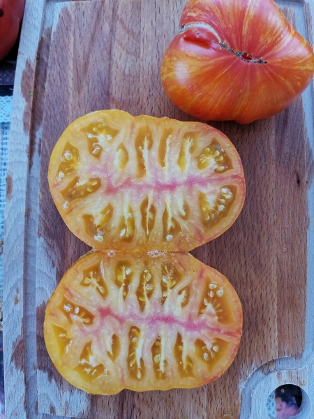 Мои любимые желтые сорта томатов. Топ 5: фото и описание.