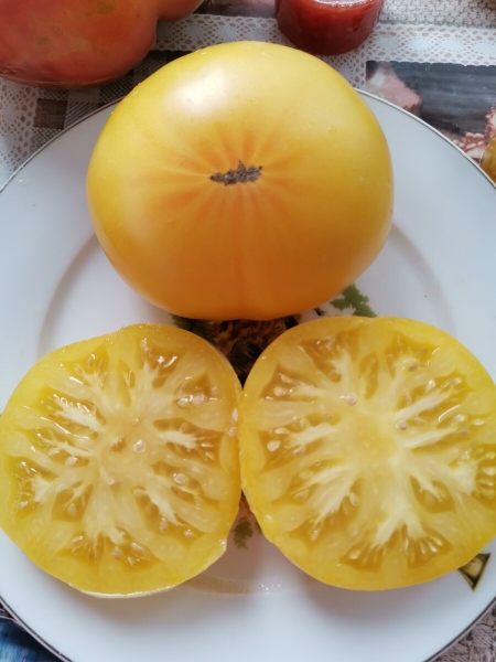 Мои любимые желтые сорта томатов. Топ 5: фото и описание.